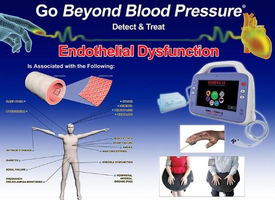 Vascular Function Assessments